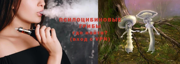 мескалин Мегион