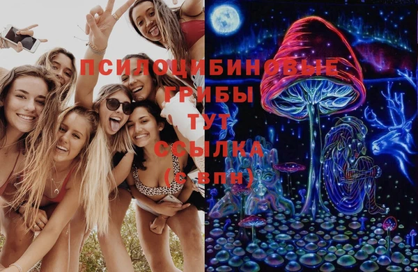 МДМА Медвежьегорск